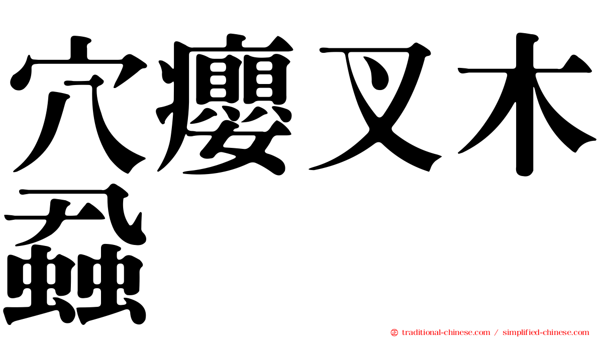 穴癭叉木蝨