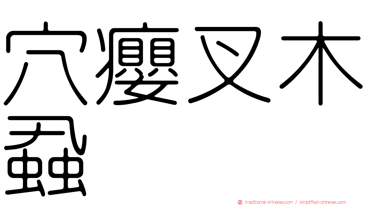 穴癭叉木蝨