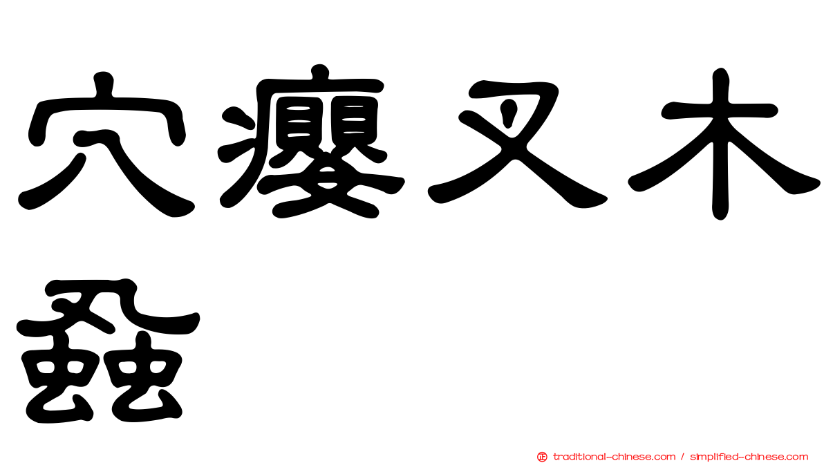 穴癭叉木蝨