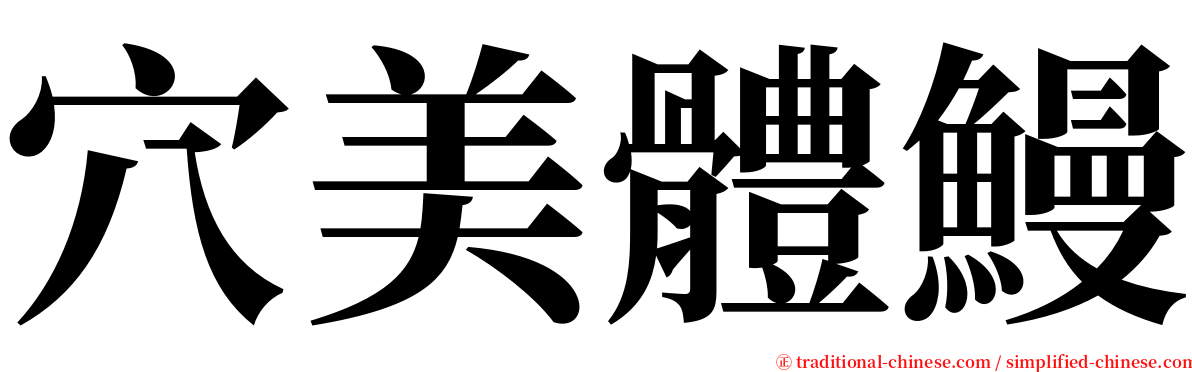 穴美體鰻 serif font