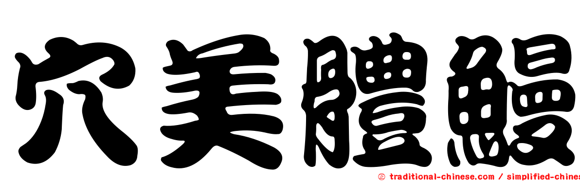 穴美體鰻