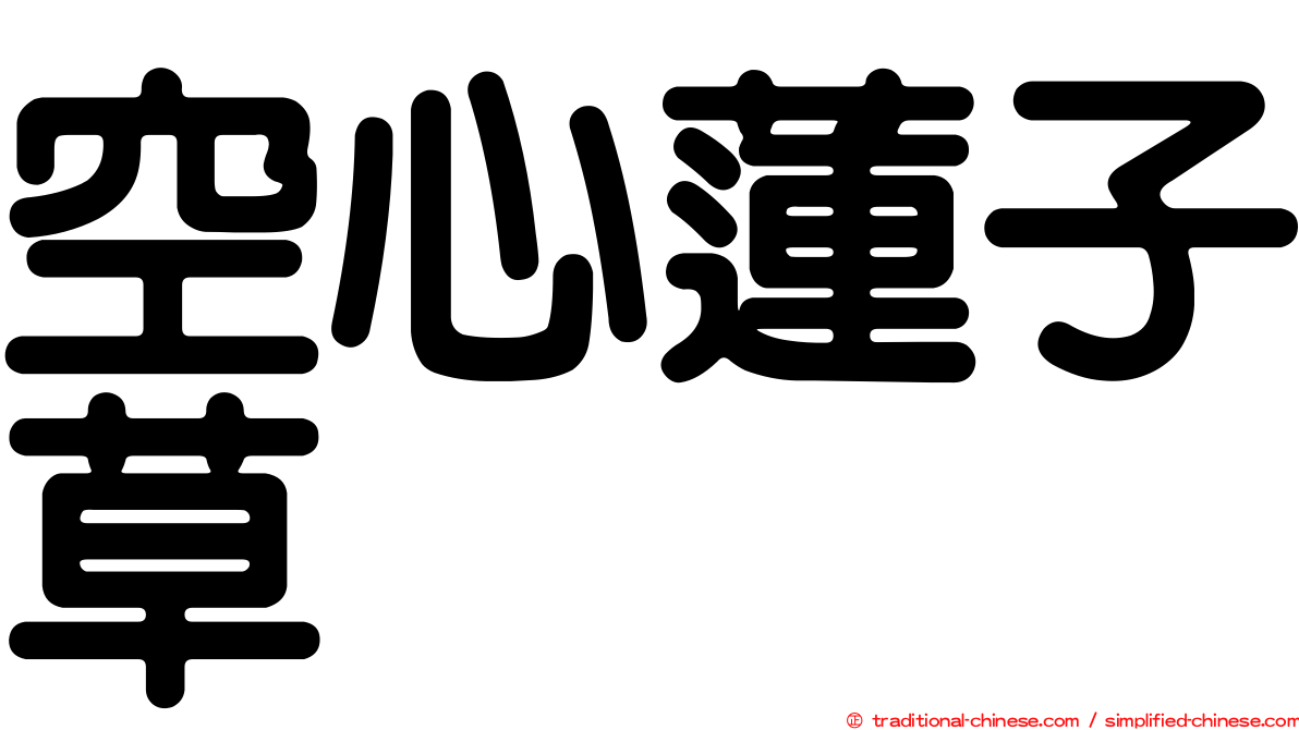 空心蓮子草