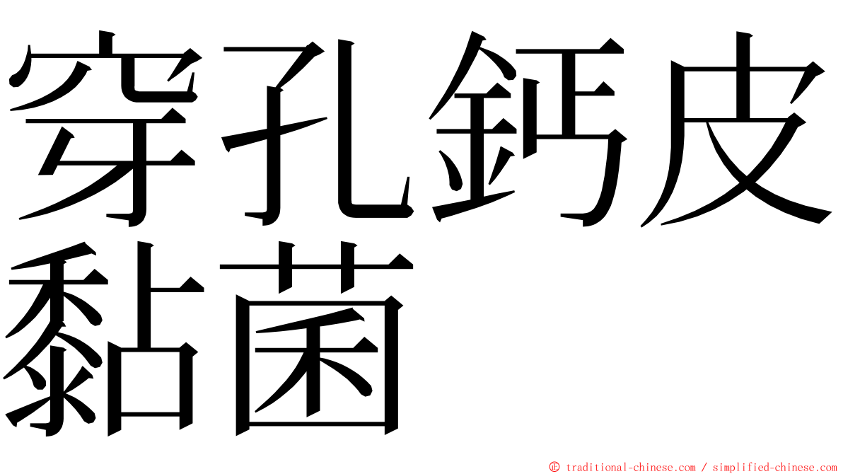 穿孔鈣皮黏菌 ming font