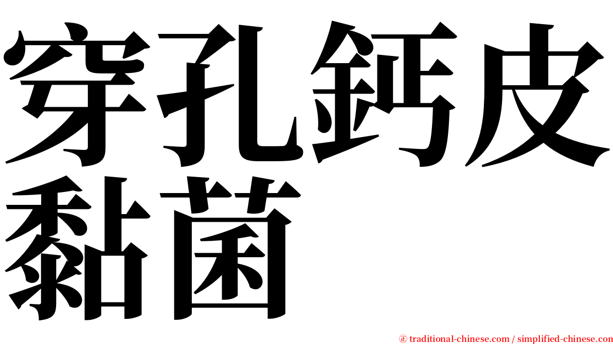 穿孔鈣皮黏菌 serif font