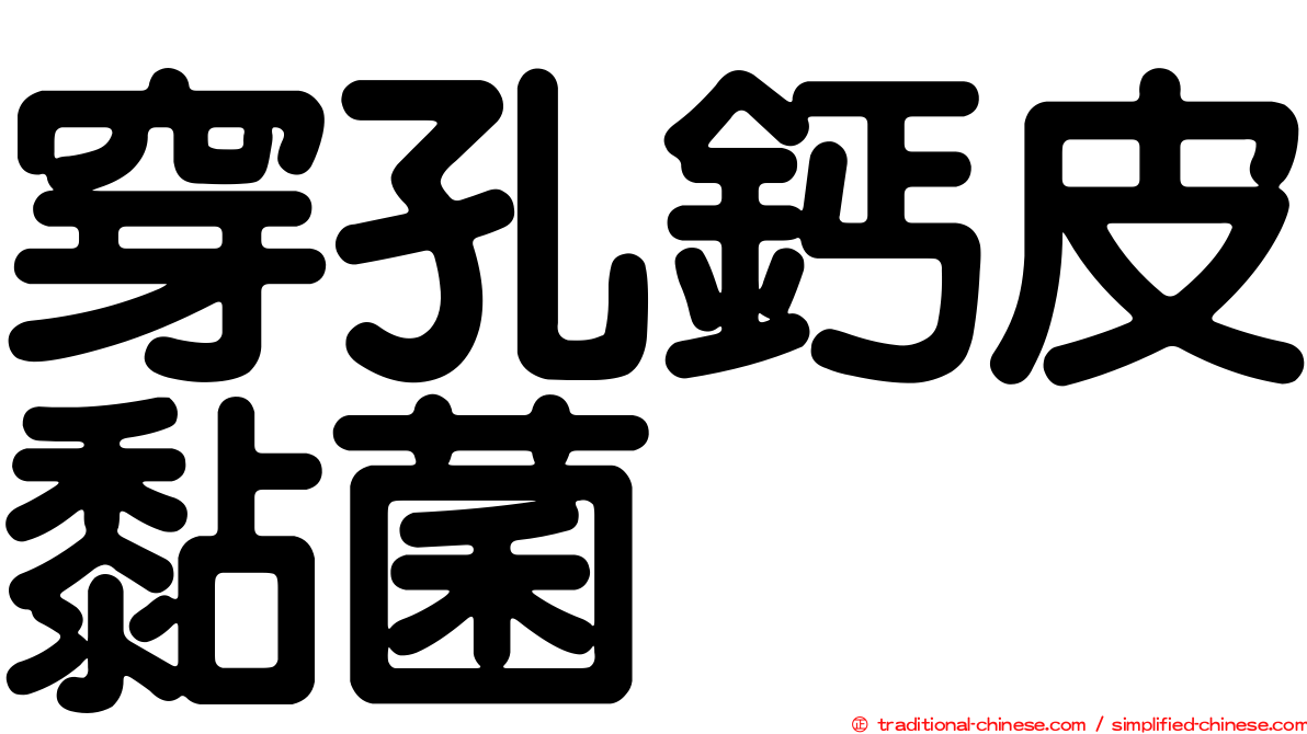 穿孔鈣皮黏菌