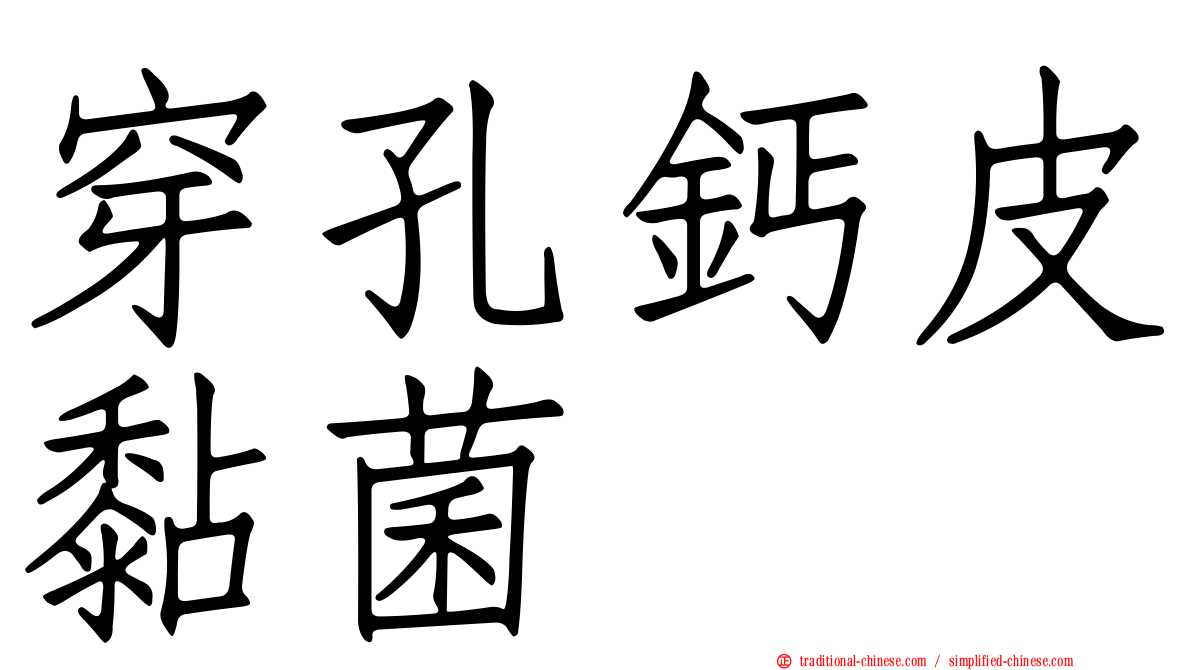 穿孔鈣皮黏菌