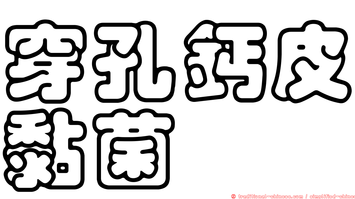 穿孔鈣皮黏菌