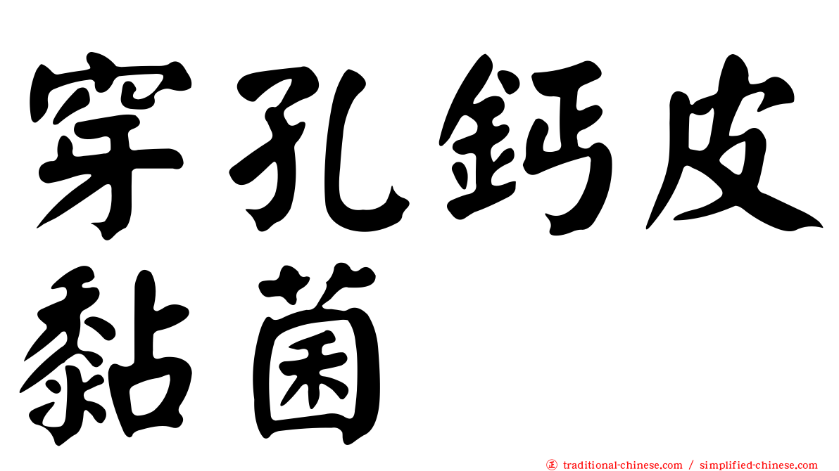 穿孔鈣皮黏菌
