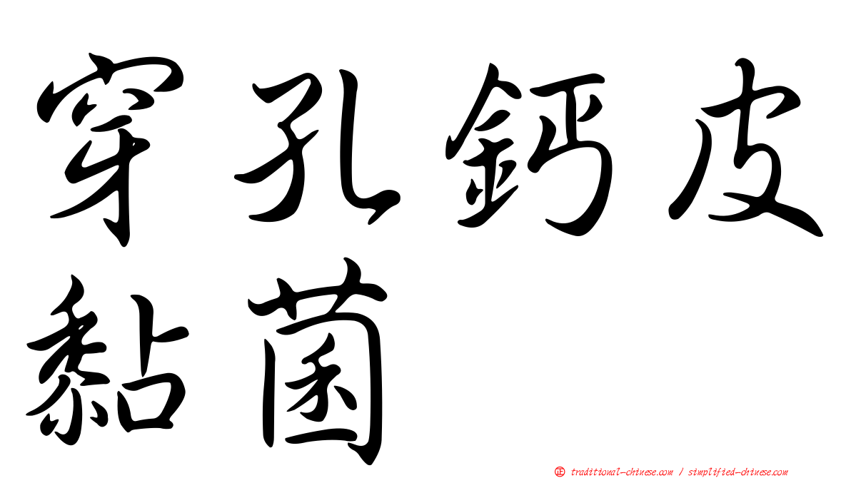 穿孔鈣皮黏菌