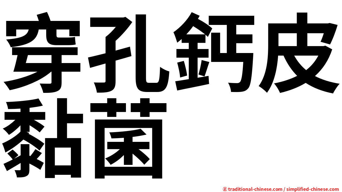 穿孔鈣皮黏菌
