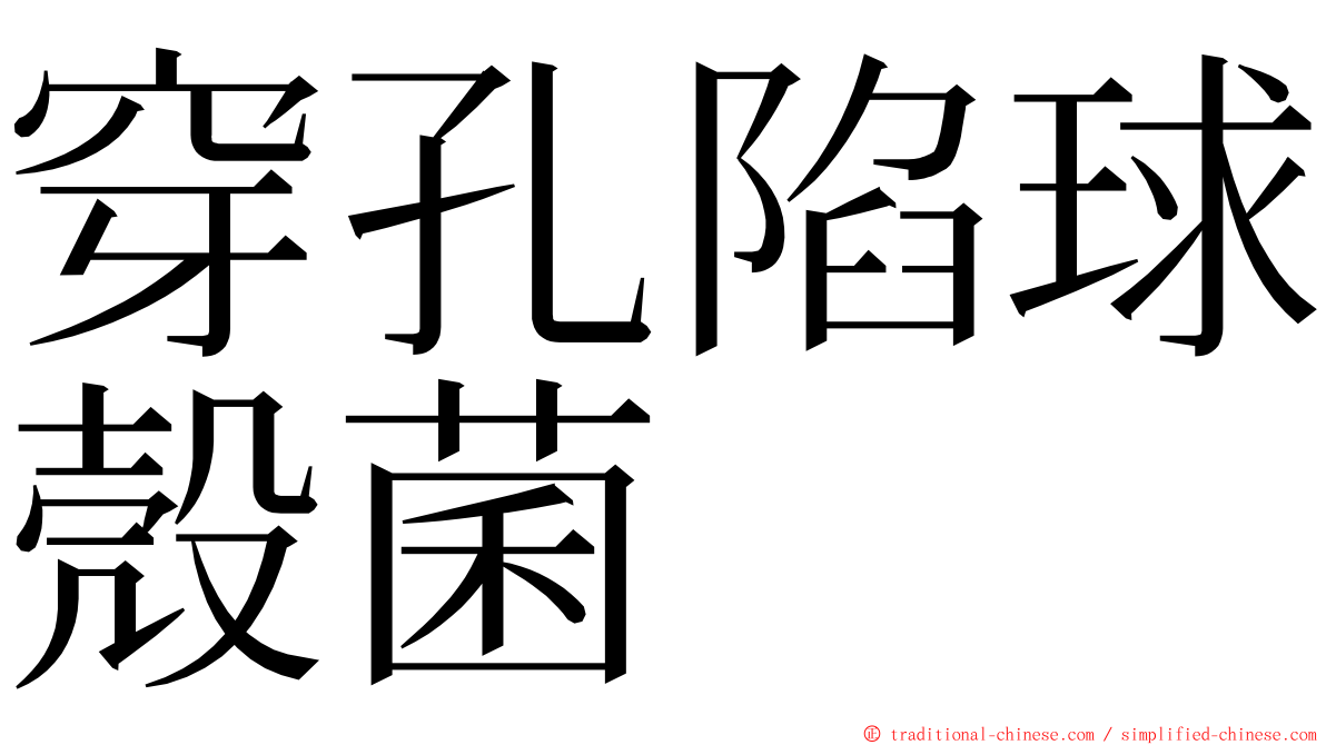 穿孔陷球殼菌 ming font