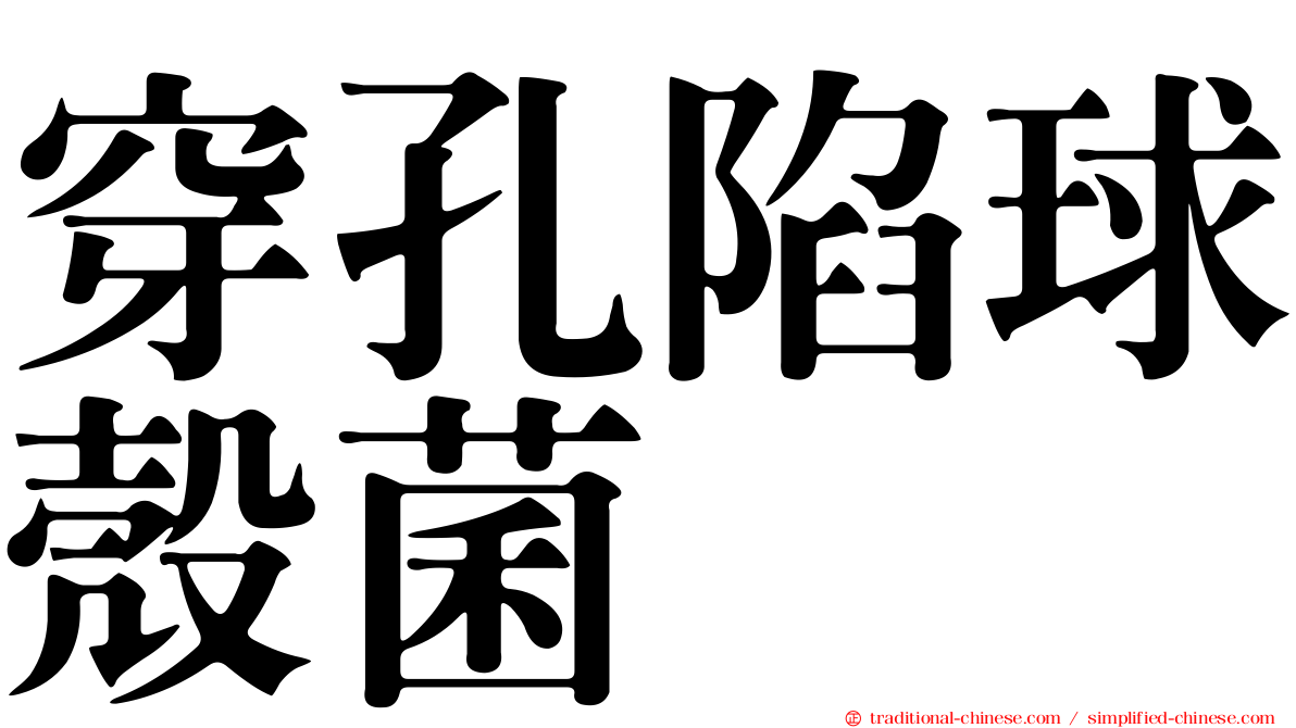 穿孔陷球殼菌
