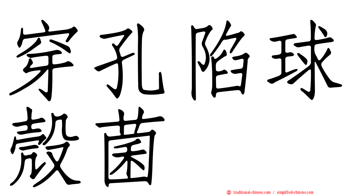 穿孔陷球殼菌