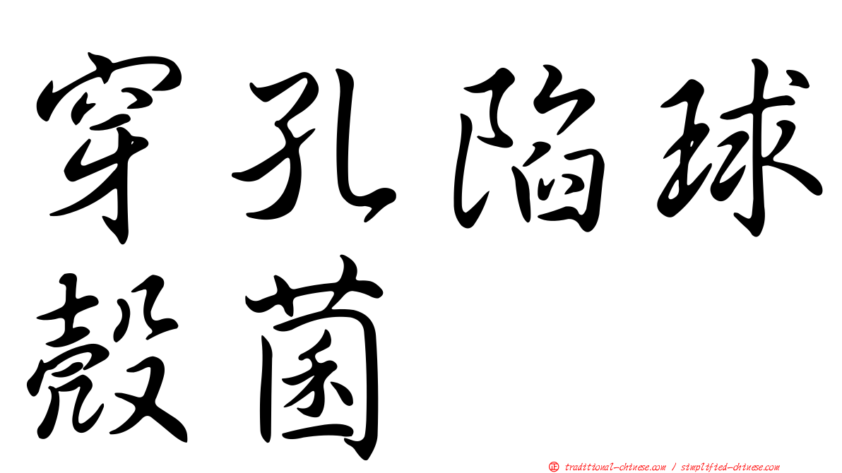 穿孔陷球殼菌