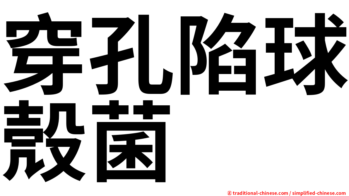 穿孔陷球殼菌