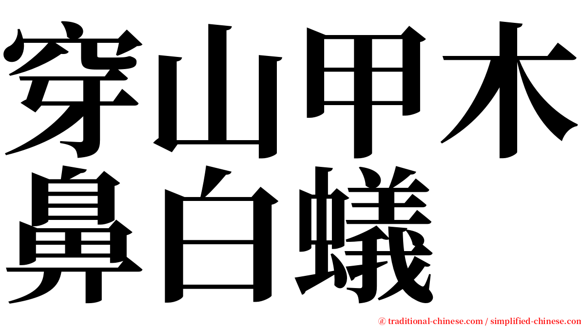 穿山甲木鼻白蟻 serif font