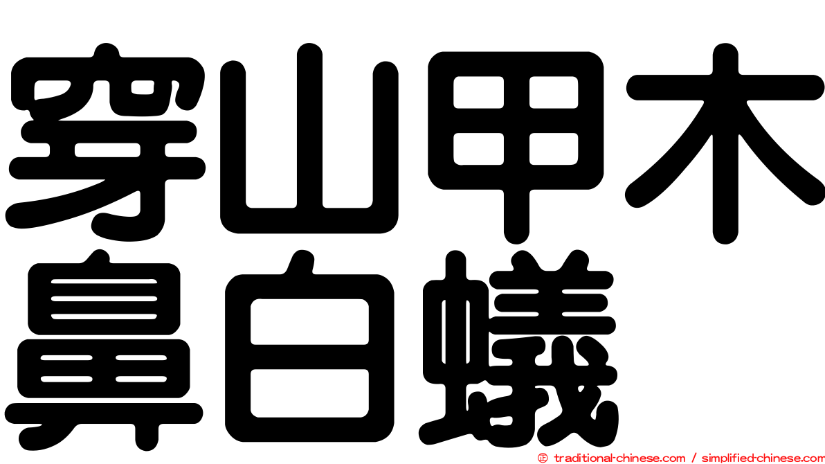穿山甲木鼻白蟻