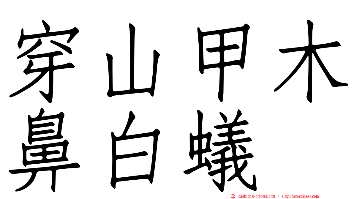 穿山甲木鼻白蟻