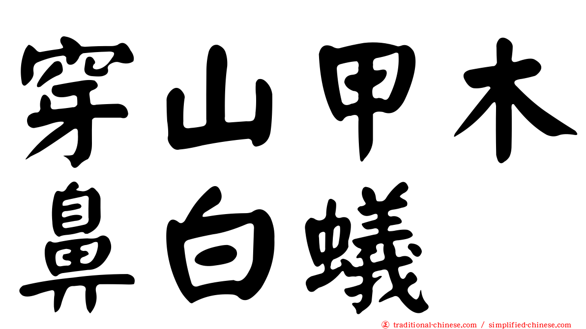 穿山甲木鼻白蟻