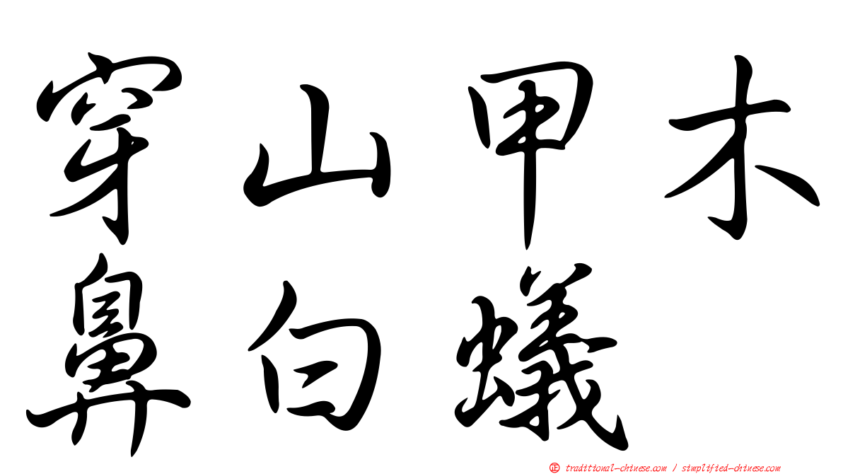 穿山甲木鼻白蟻