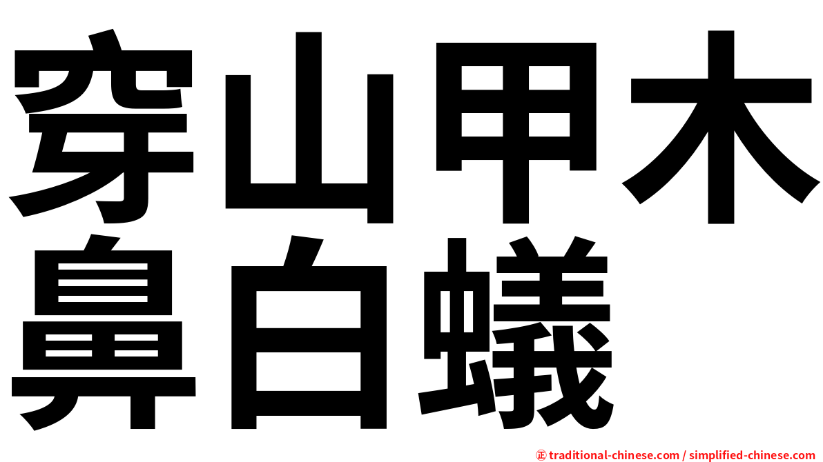 穿山甲木鼻白蟻