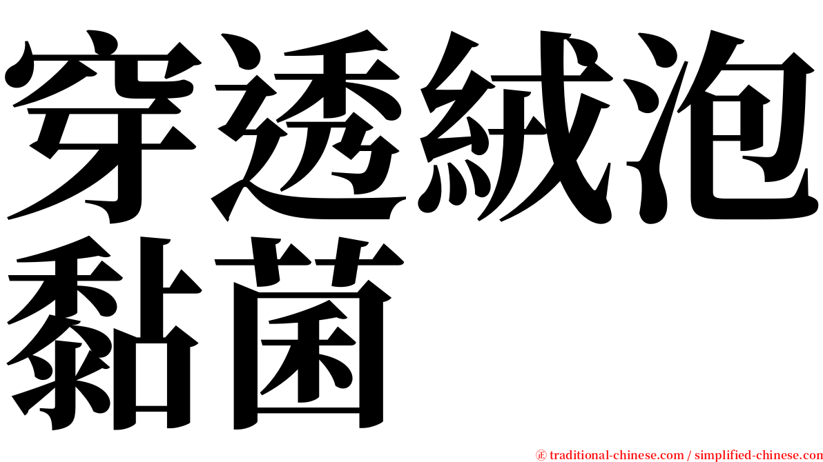 穿透絨泡黏菌 serif font