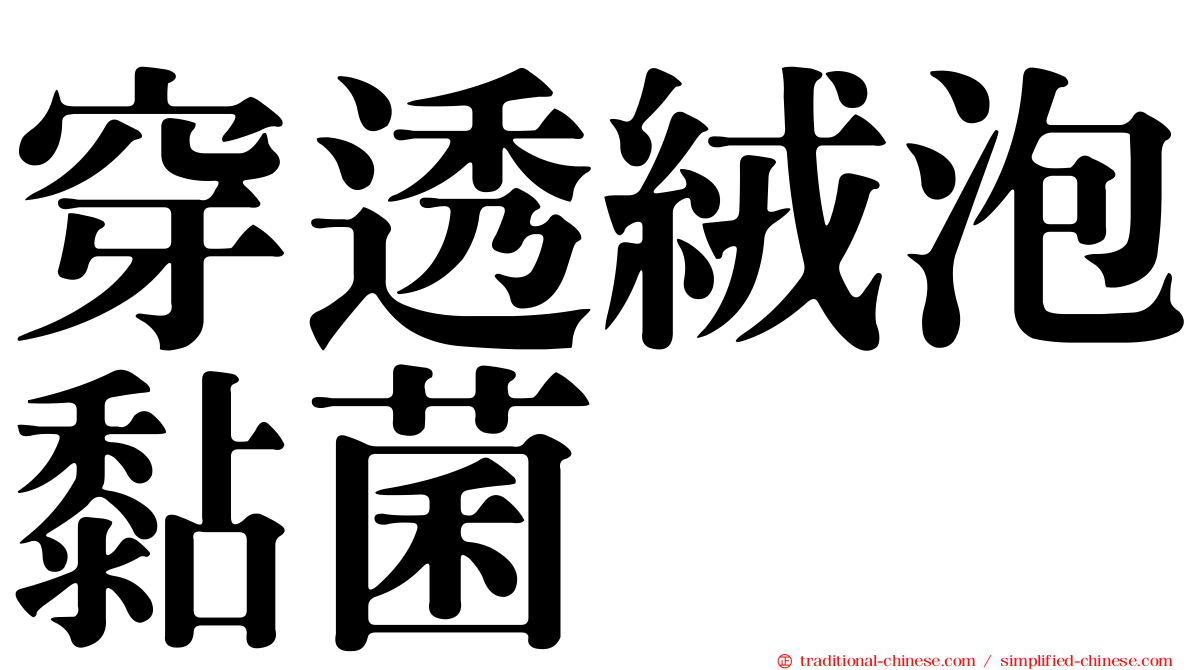 穿透絨泡黏菌