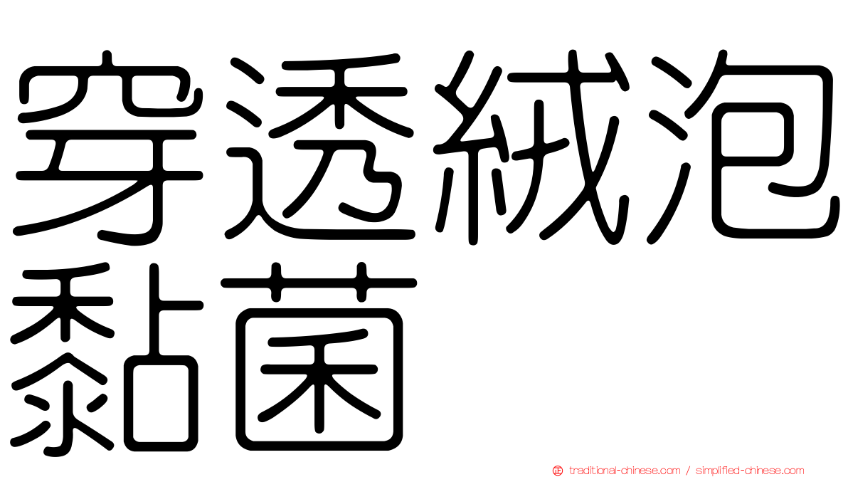 穿透絨泡黏菌
