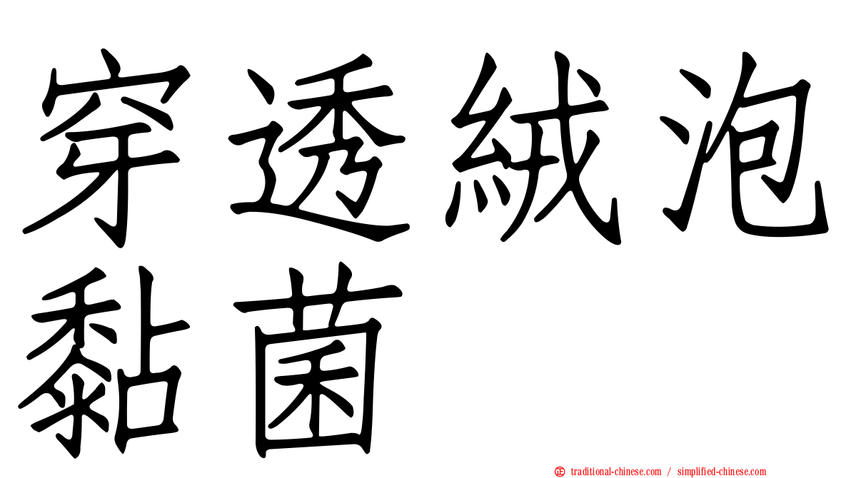穿透絨泡黏菌