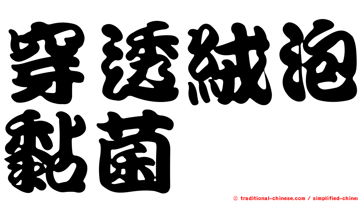 穿透絨泡黏菌