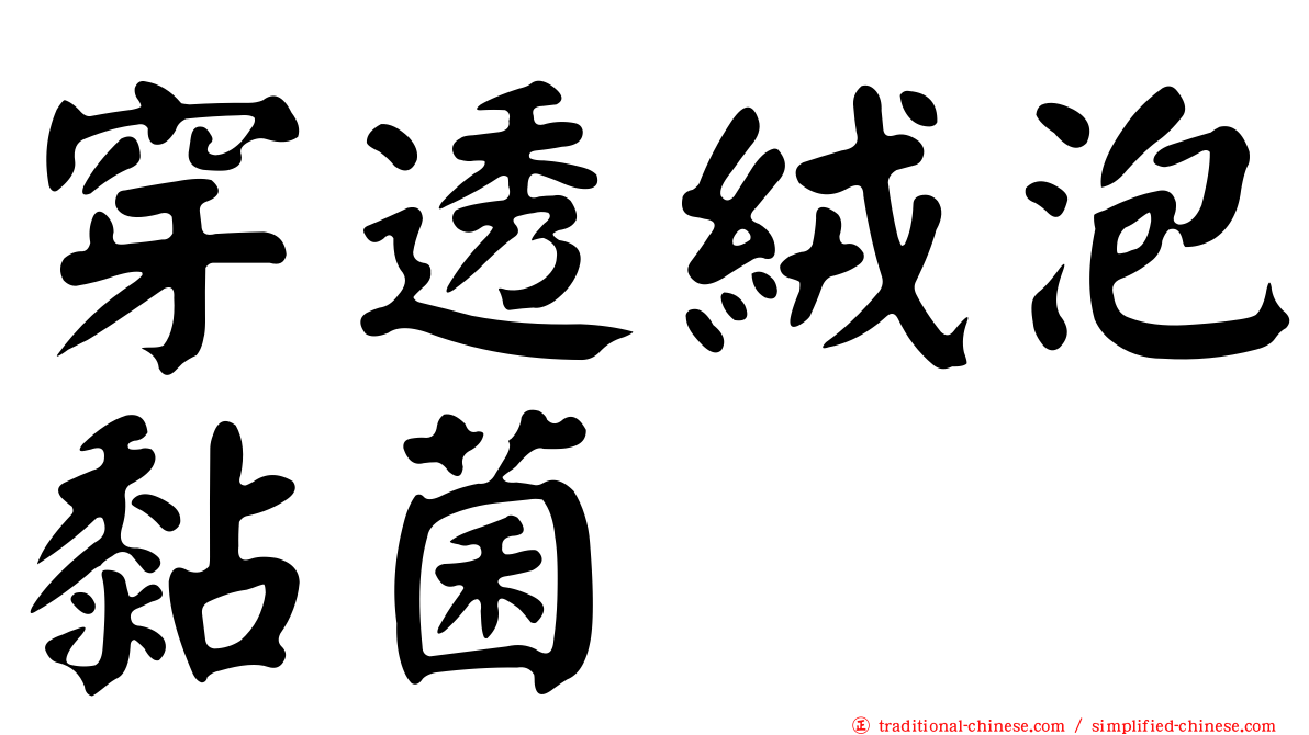 穿透絨泡黏菌