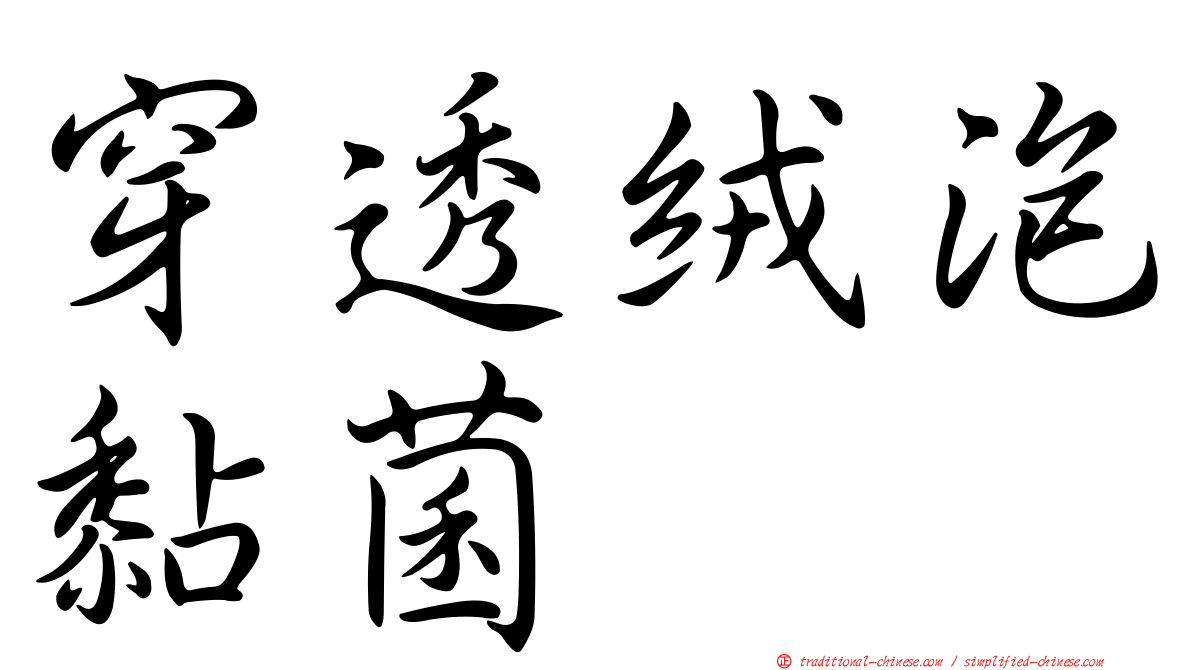 穿透絨泡黏菌