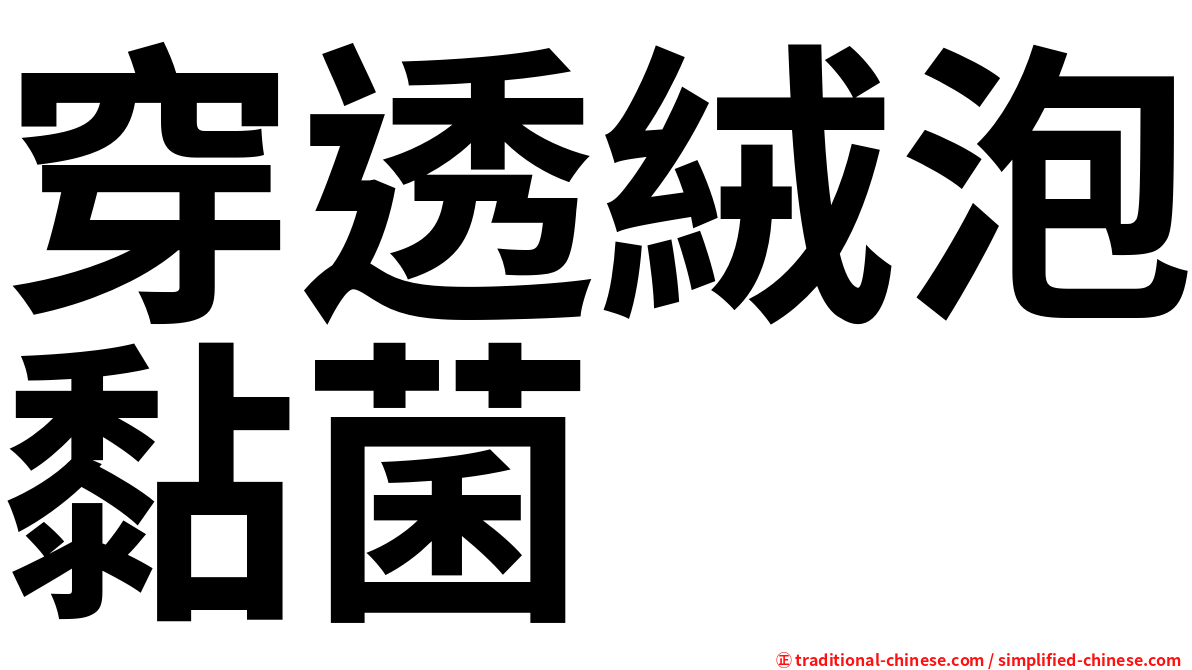 穿透絨泡黏菌