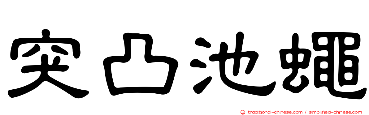 突凸池蠅