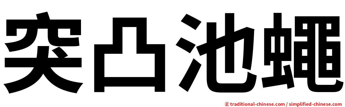 突凸池蠅