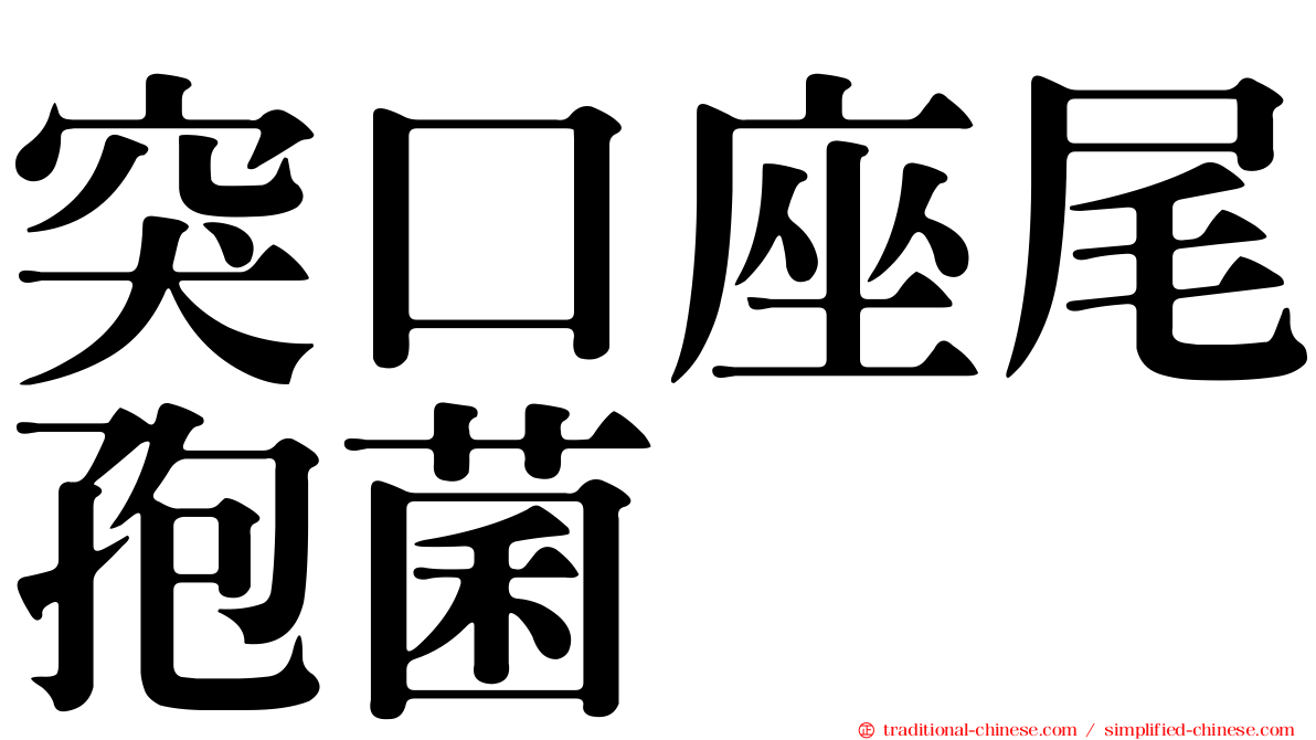 突口座尾孢菌