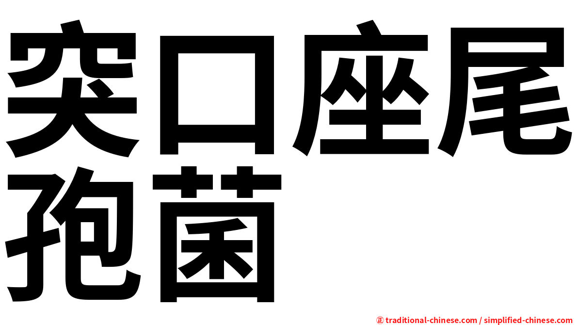 突口座尾孢菌