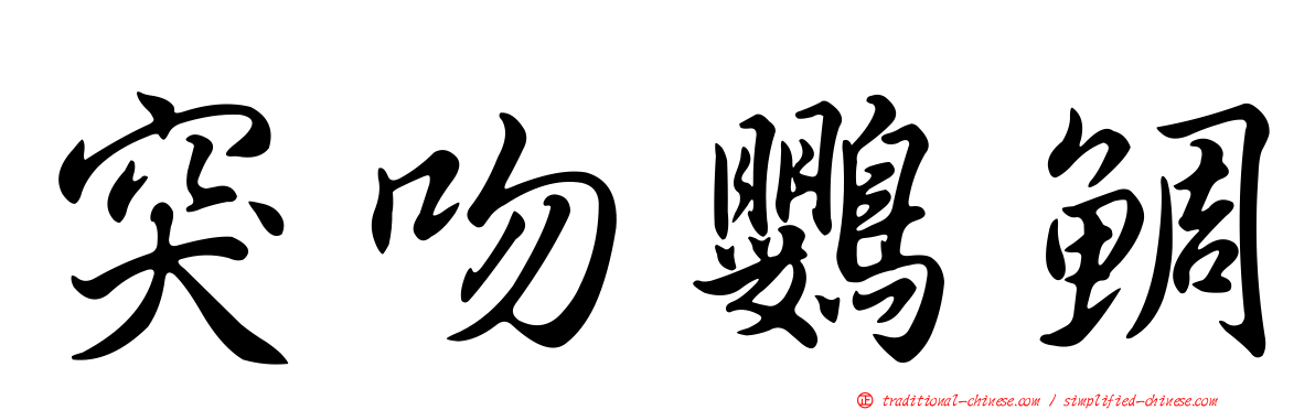 突吻鸚鯛