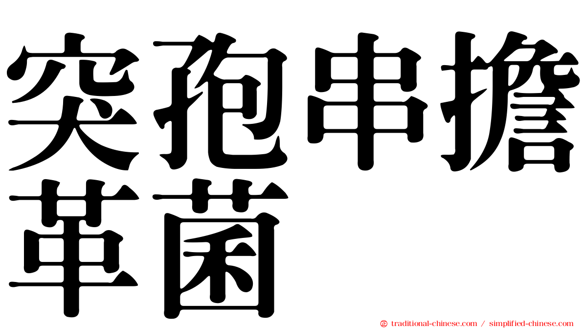 突孢串擔革菌