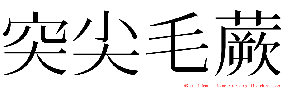 突尖毛蕨 ming font