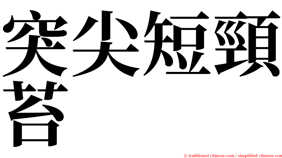 突尖短頸苔 serif font
