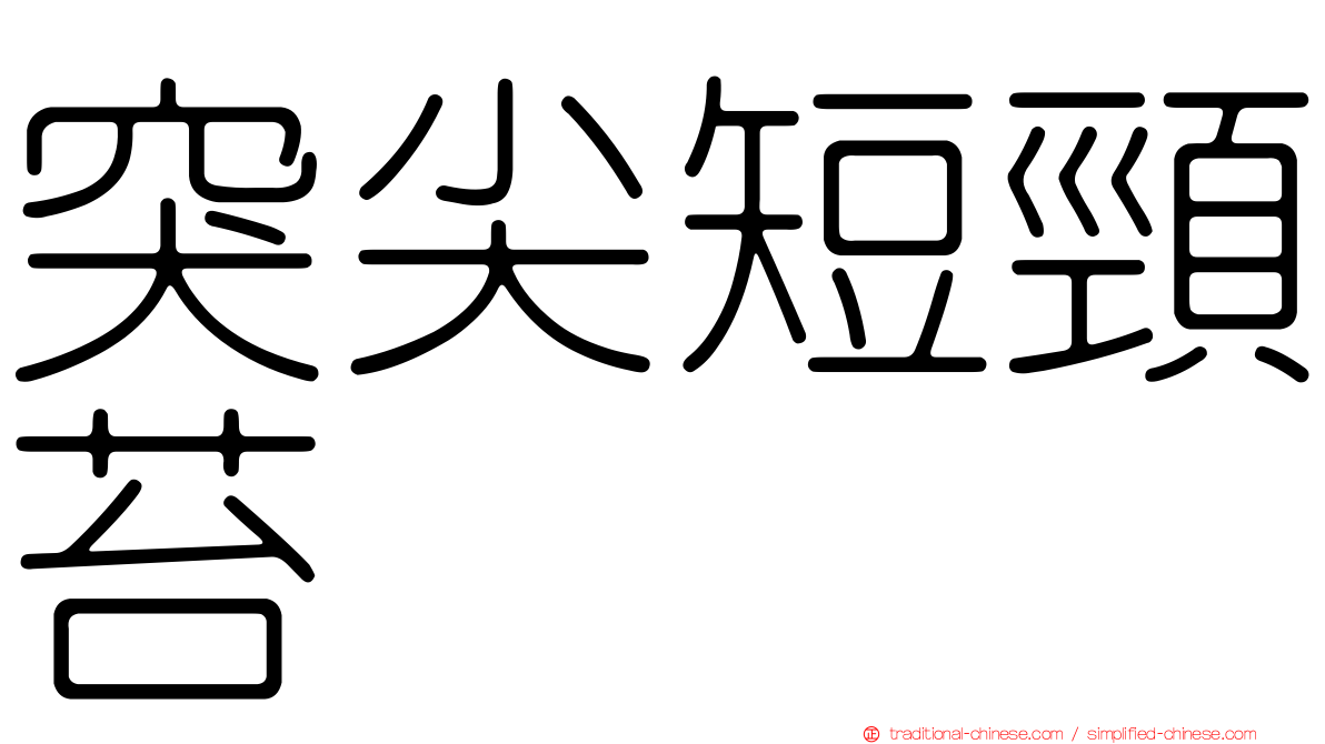 突尖短頸苔