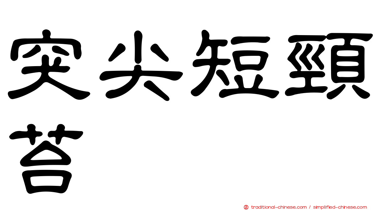 突尖短頸苔