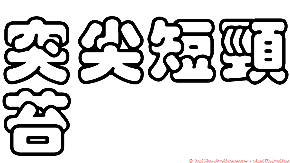 突尖短頸苔