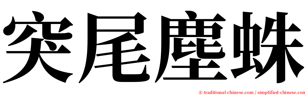 突尾塵蛛 serif font