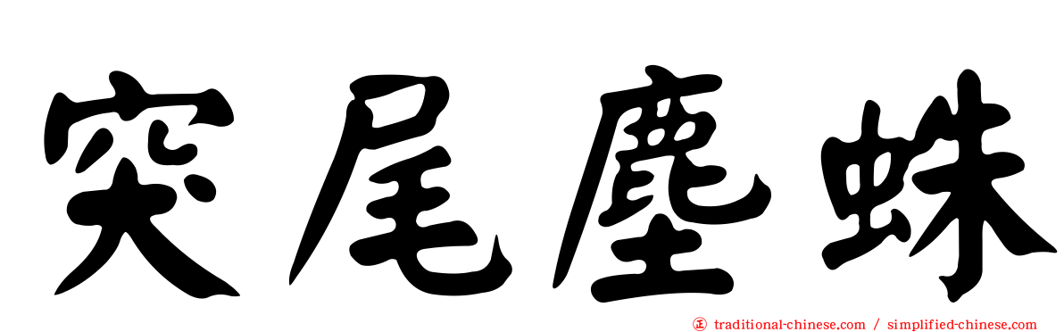 突尾塵蛛