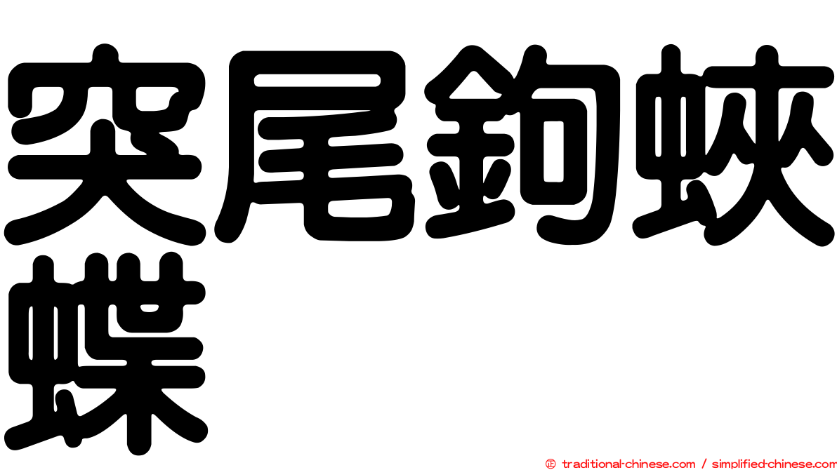 突尾鉤蛺蝶