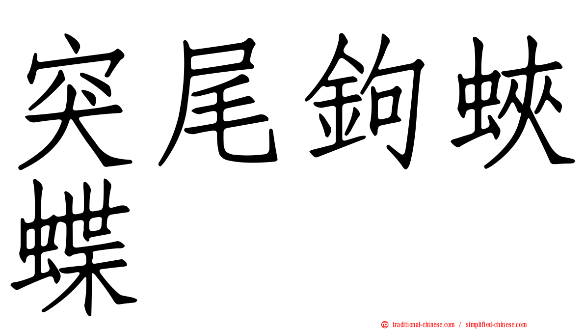 突尾鉤蛺蝶