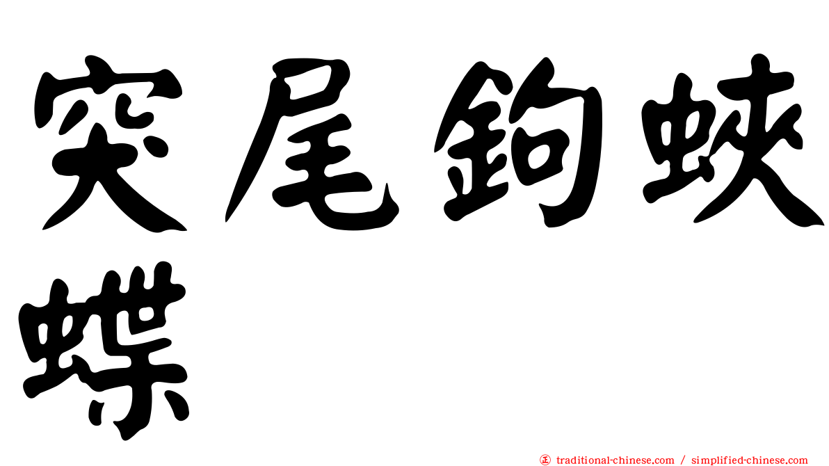 突尾鉤蛺蝶