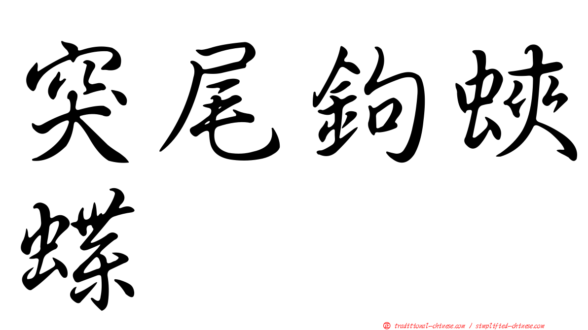 突尾鉤蛺蝶